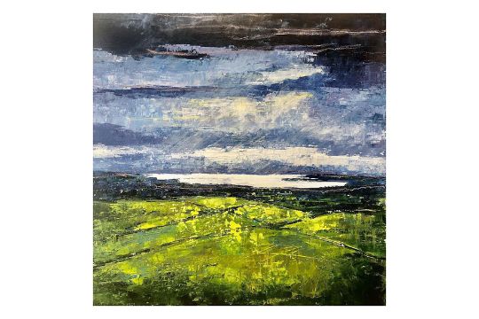 Jane Vaux, Sublime Views, Acrylic