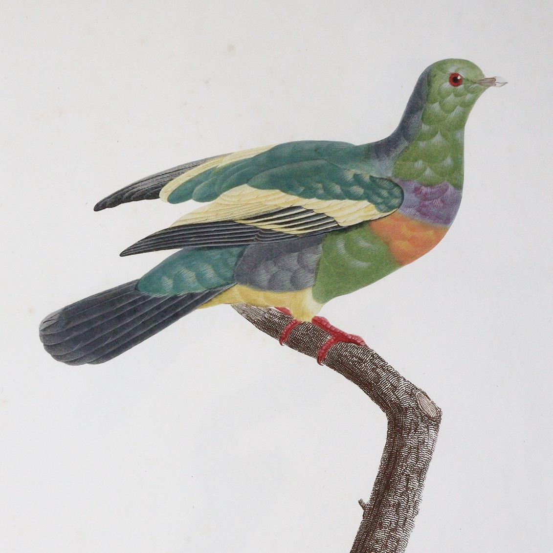 Buch- und Kunstauktion 142