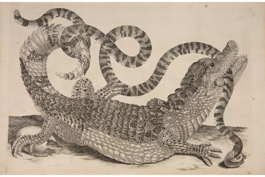 Venator & Hanstein - Frühjahrsauktionen 2026