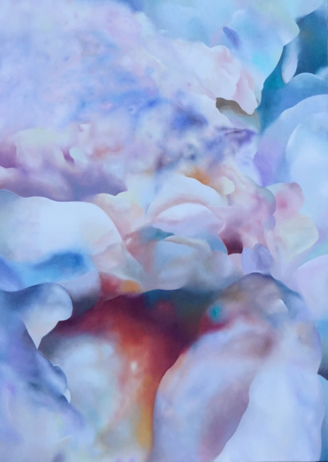 Nachverkauf: Daniel Meyer Münster-Kunst…