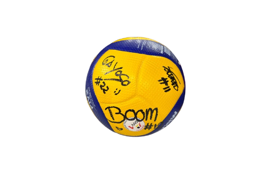 3. Benefizauktion VC Wiesbaden