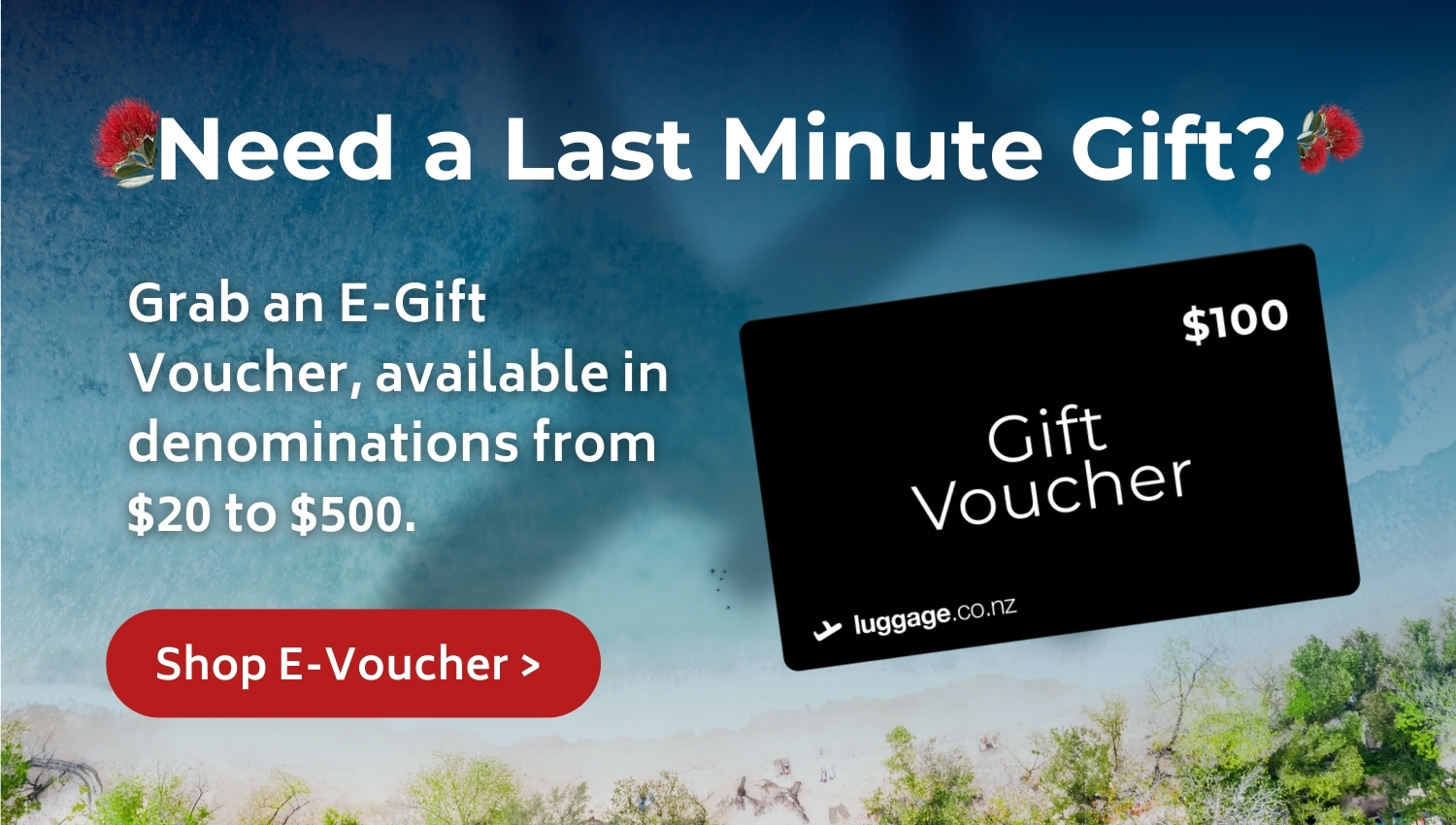 Shop E- Gift Voucher