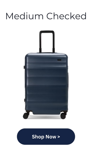 Medium Checked Suitcase