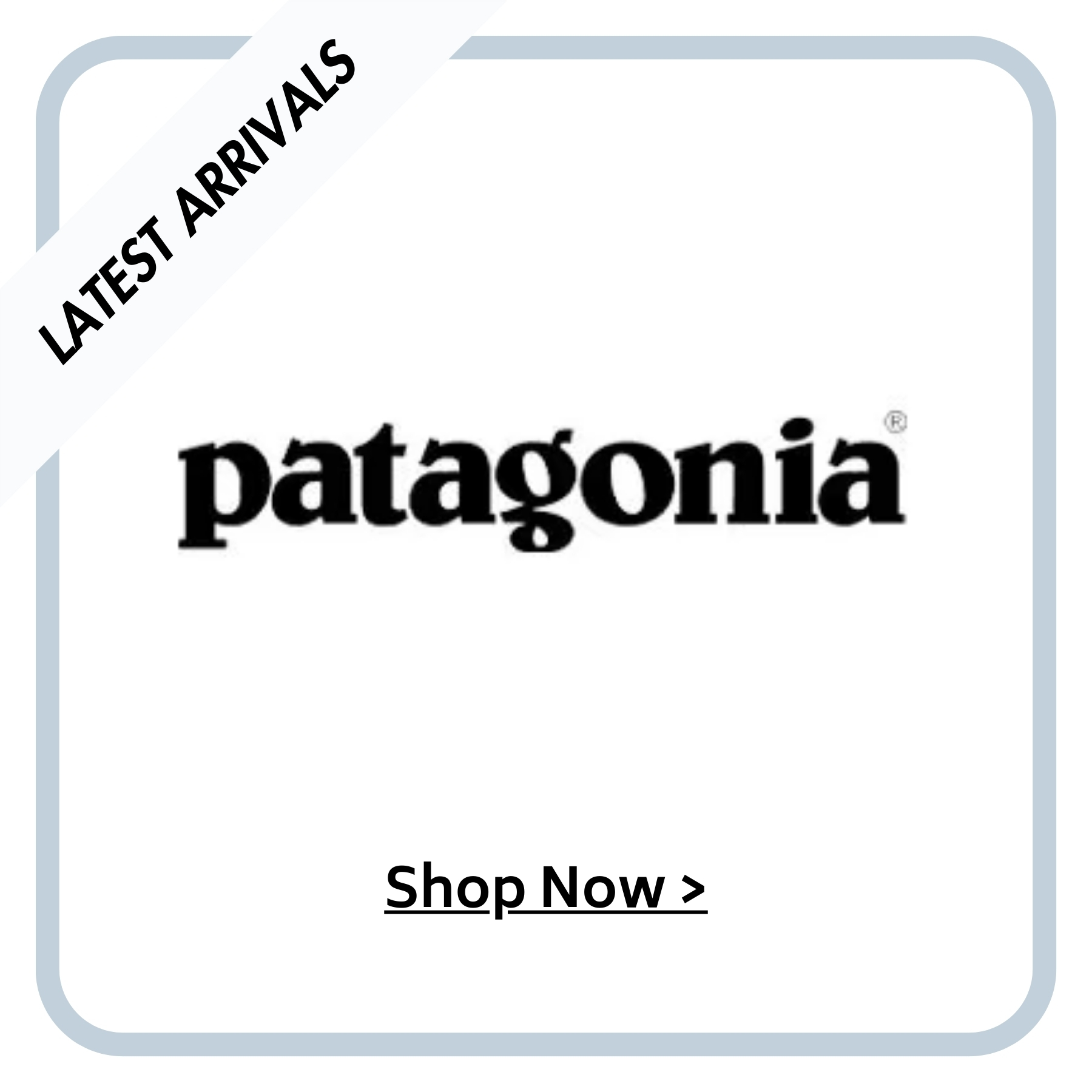 Latest from Patagonia