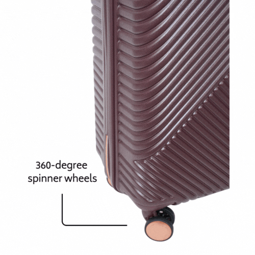 Saben Going Places Infographic