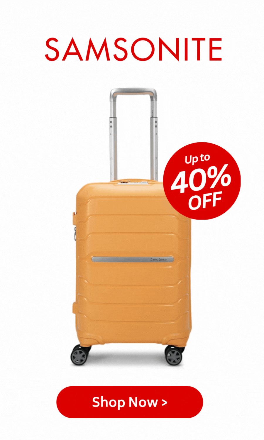 Samsonite Luggage
