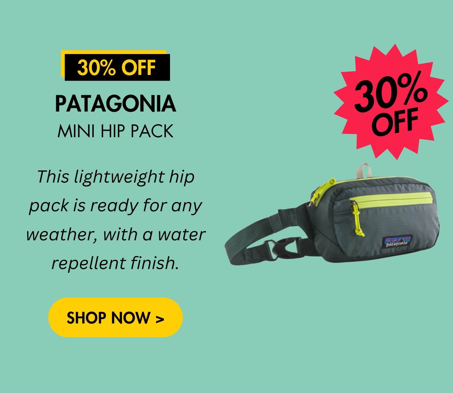 Bellroy Patagonia Mini Hip Pack - 30% off