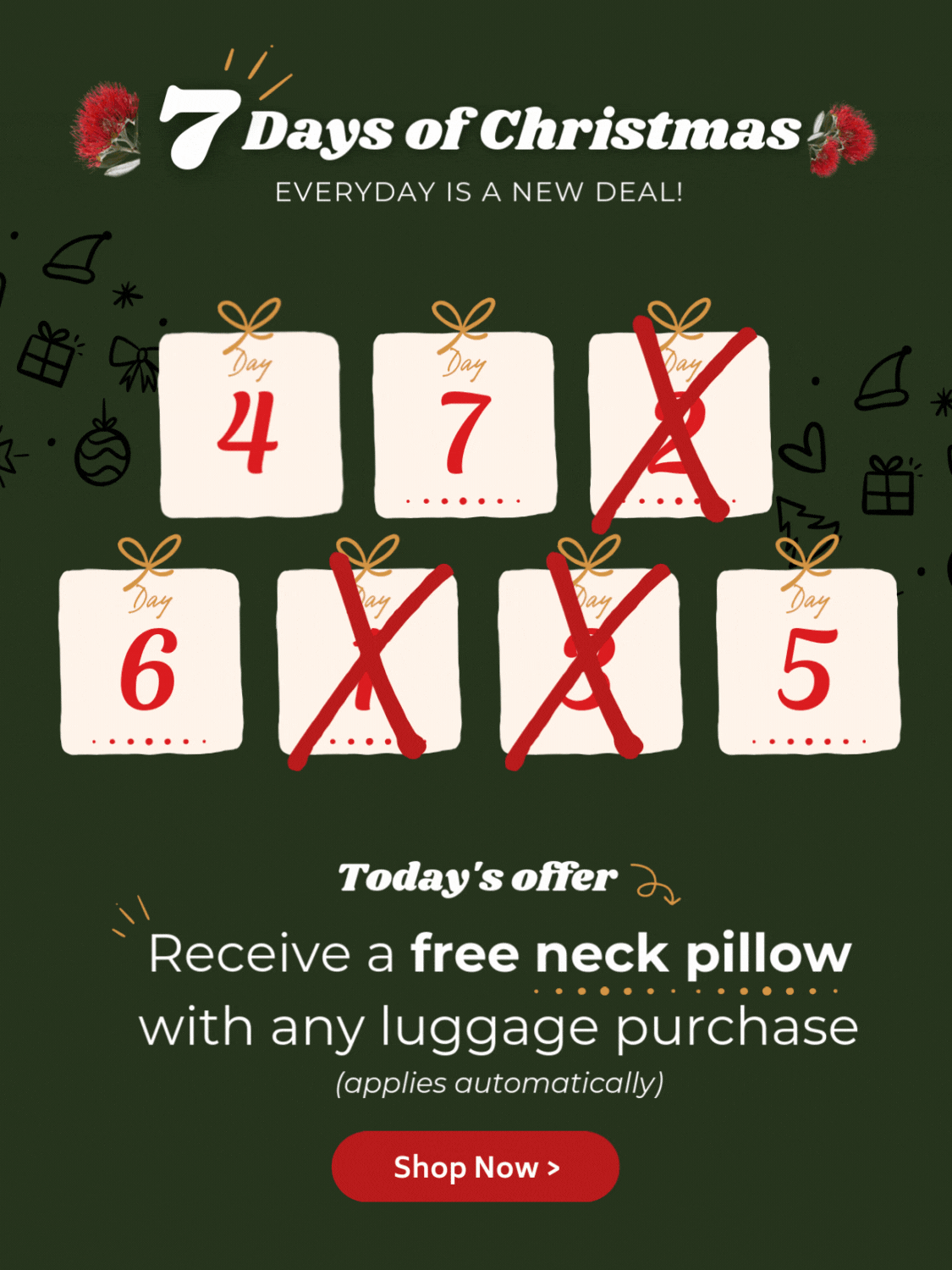 Receive a free neck pillow with any luggage purchase