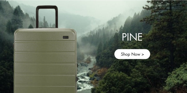 Pine