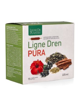 Ligne Dren Pura - Ampolle