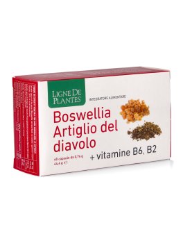 Boswellia Artiglio del Diavolo + Vitamine B6 e B2