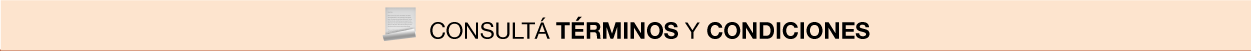 Términos y condiciones