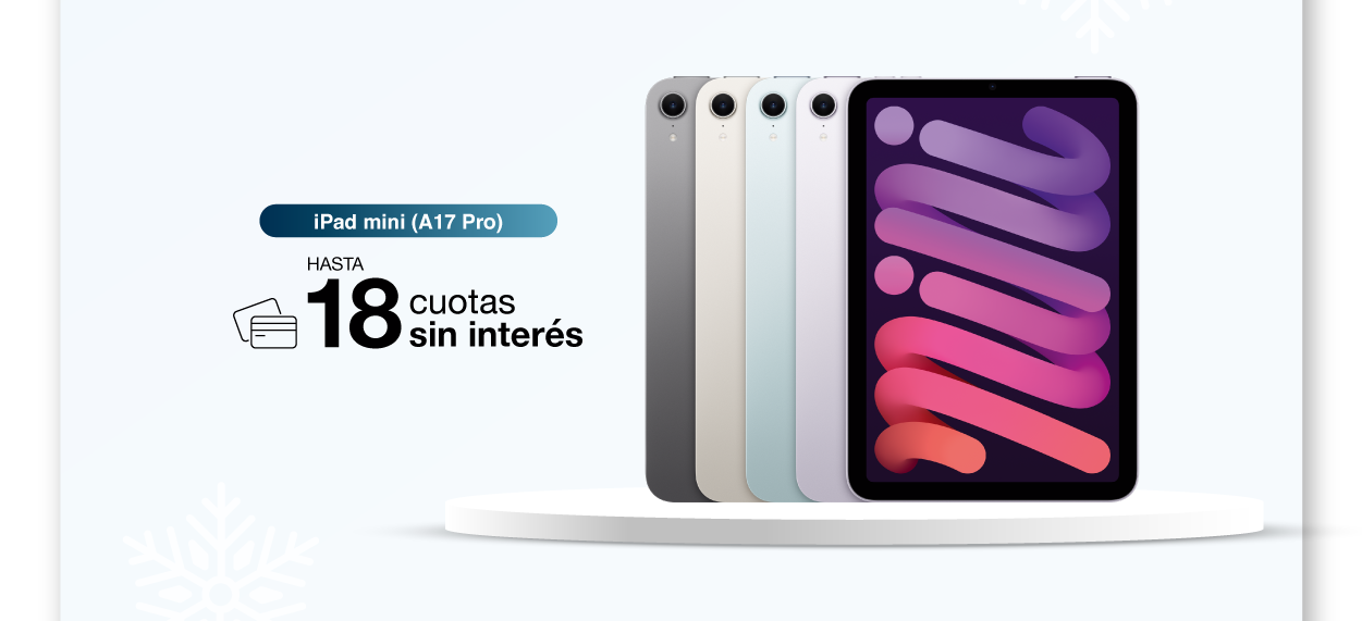 iPad mini