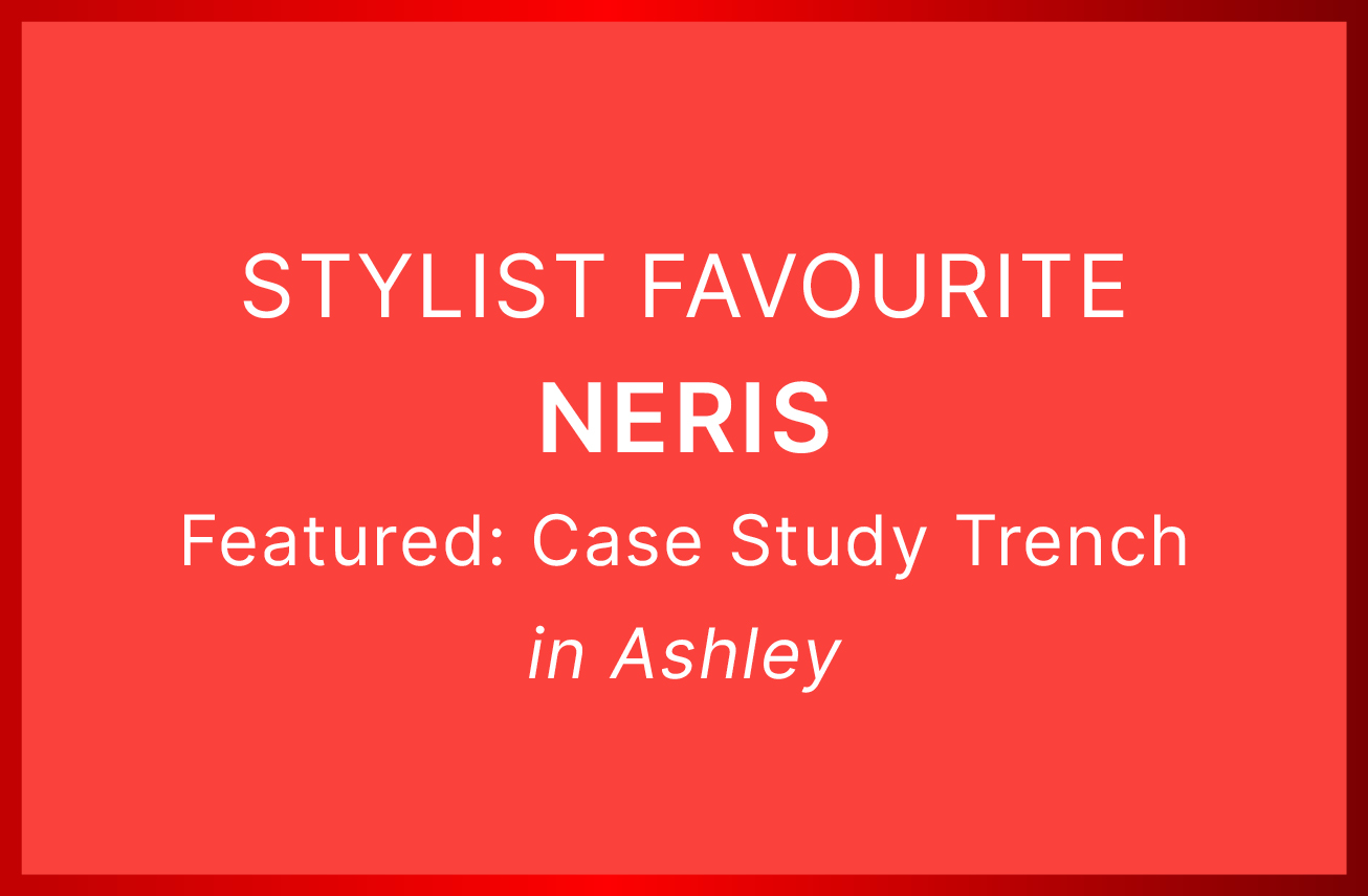 Neris - SN2701 Case Study Trench