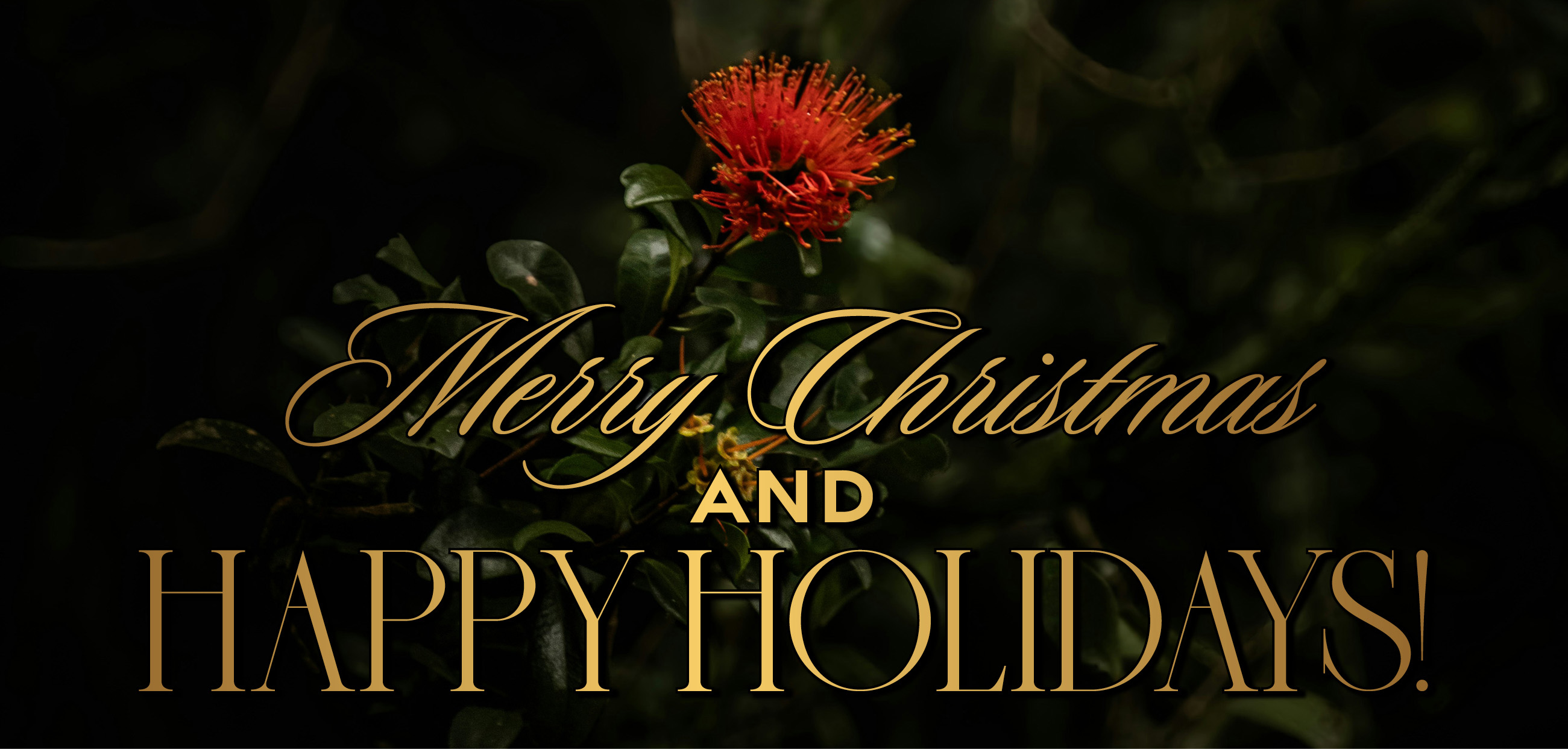 Merry Christmas and Happy Holidays!