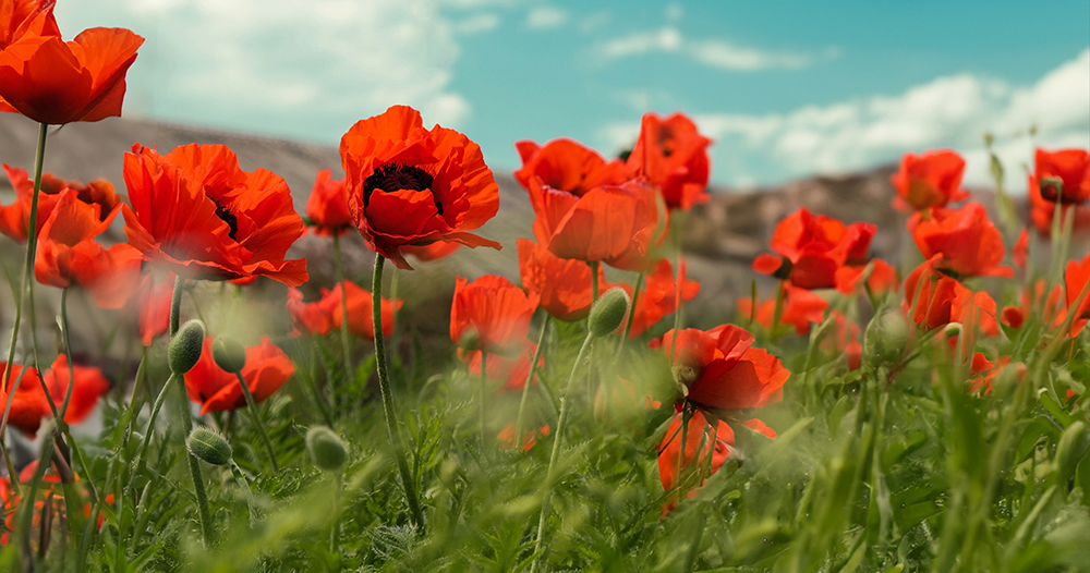 Azan Day Observed today