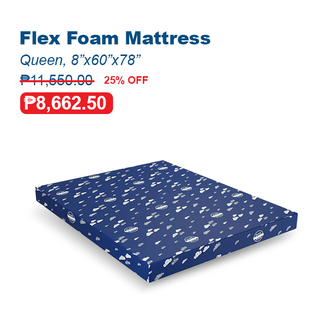 Flex Foam Mattress