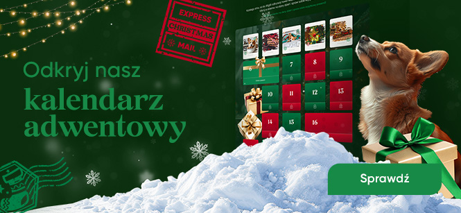 Otwórz dzisiejsze okienko!