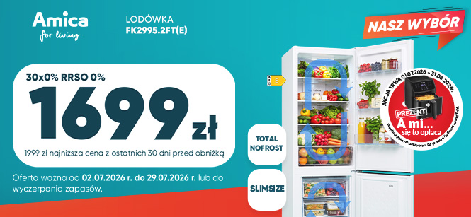 Lodówka Amica FK2995.2FT(E)