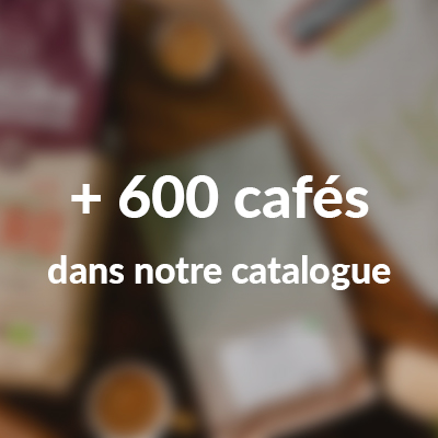 + 600 cafés dans notre catalogue.