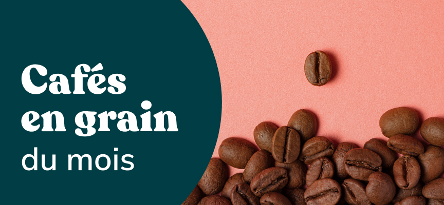 Cafés en grain du mois
