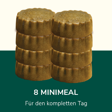 8 Minimeal