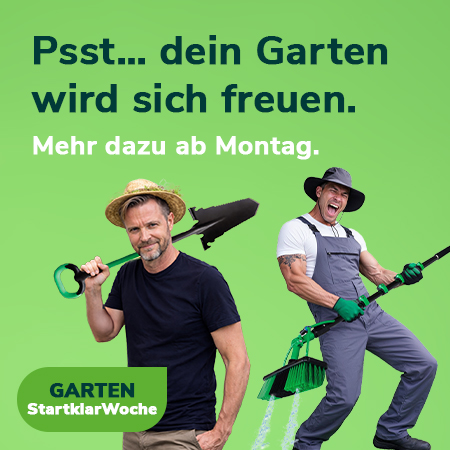 Bist du bereit für grüne Überraschungen?