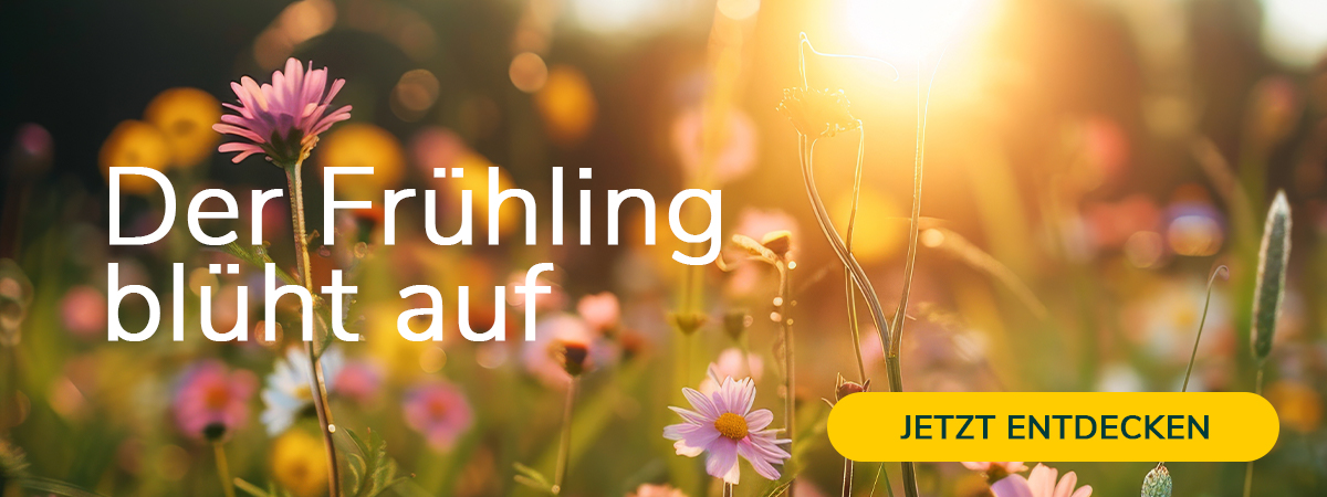 Der Frühling blüht auf