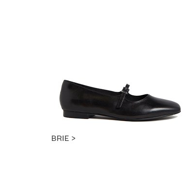 Explore Brie Ballet Flat