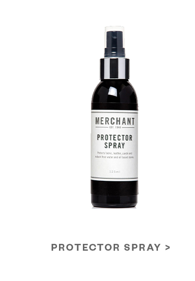 Protector Spray Small