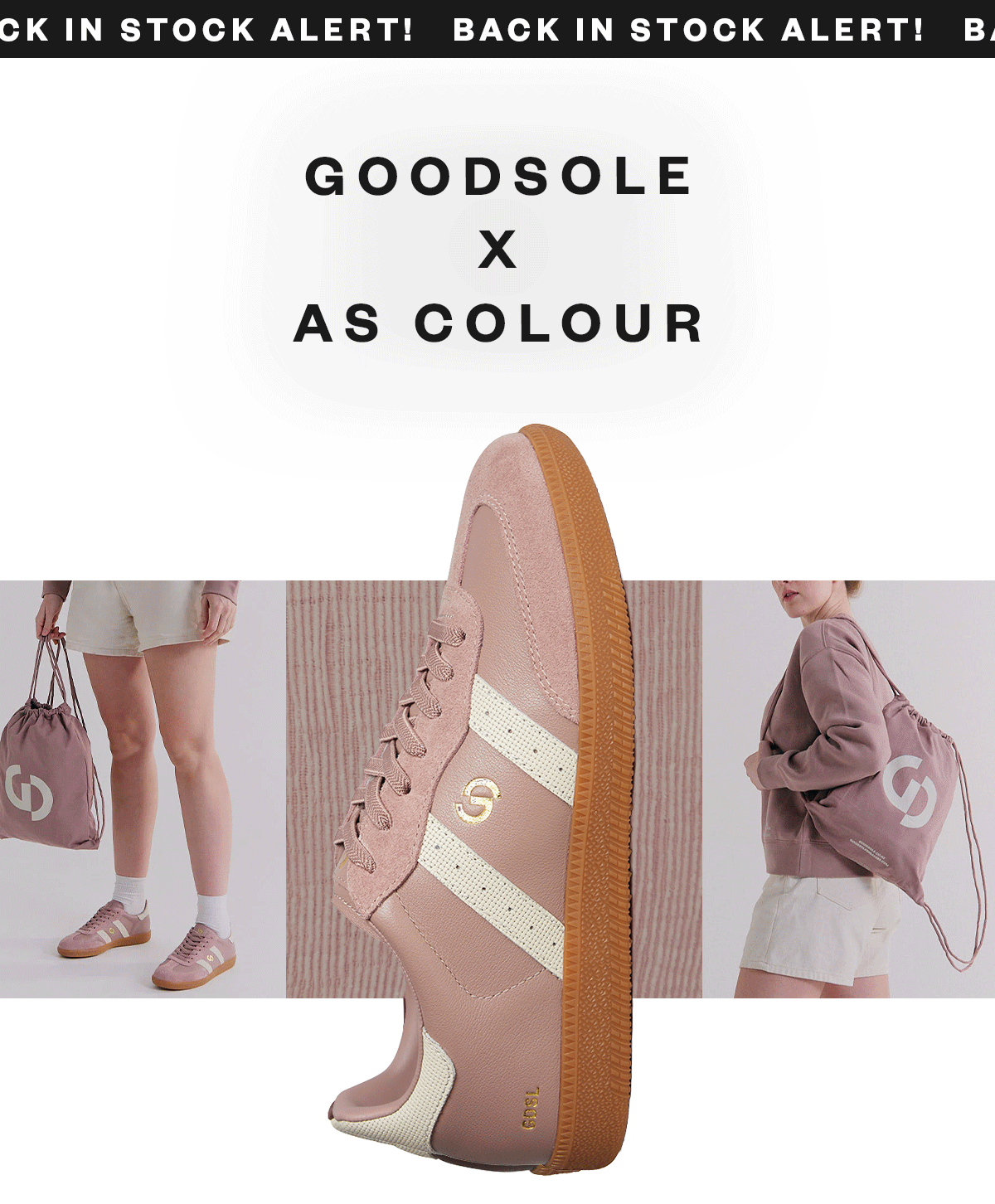 Goodsole Canvas Bundles