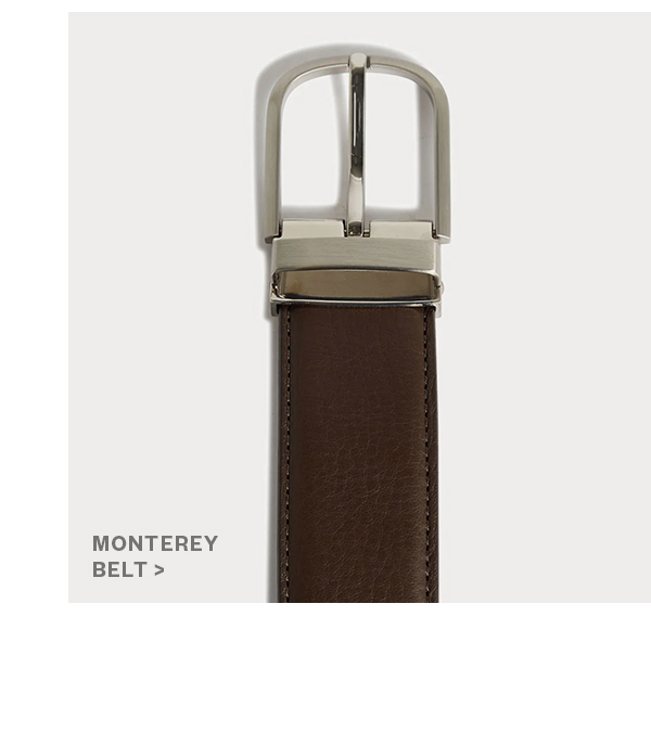 Shop Men's Belts