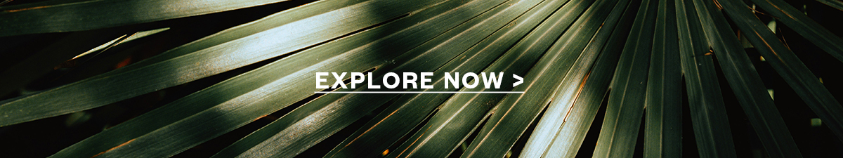 Explore Resort Collection 