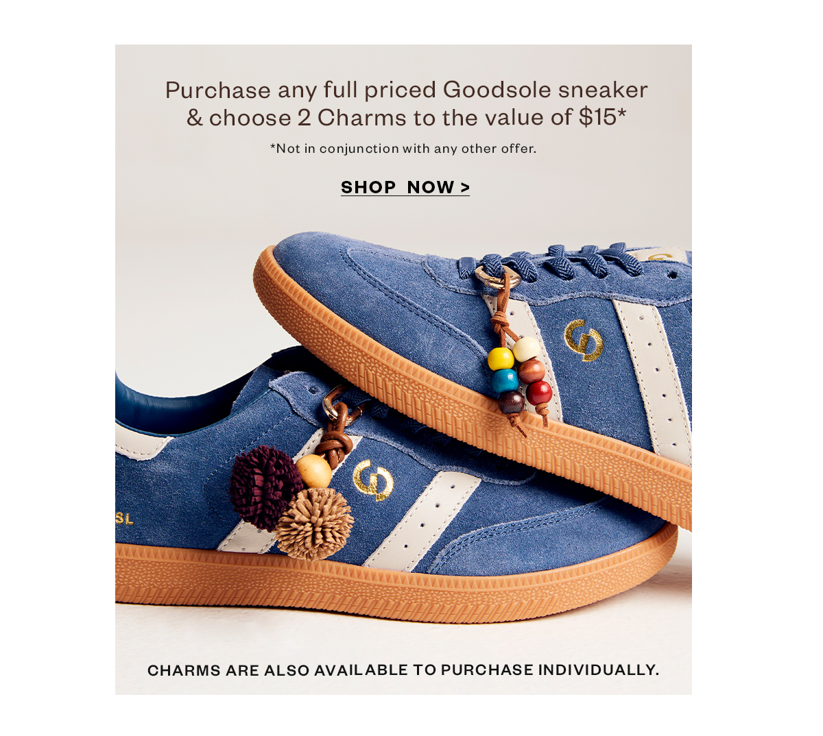 Shop Goodsole Charms