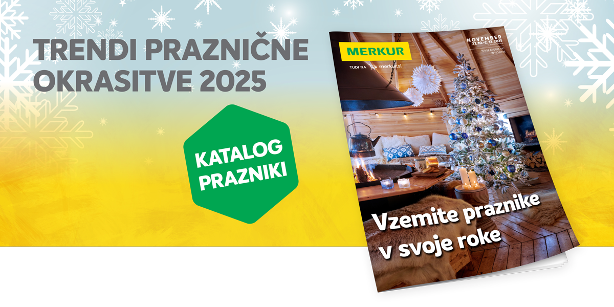 800x500px-eNovica-header