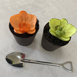 Cserepes orchidea csokoládéból