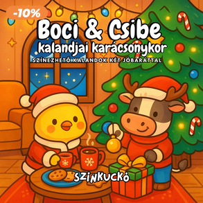 Karácsonyi színezőfüzet gyerekeknek és felnőtteknek. Kifestő kislányoknak karácsonyi ajándék. Boci és Csibe karácsonykor