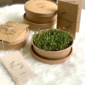 Mikrozöld otthoni termesztő készlet 