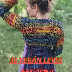 30 vegán leves e-könyv