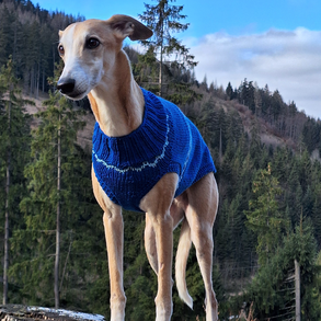 kötött kék kutyapulcsi