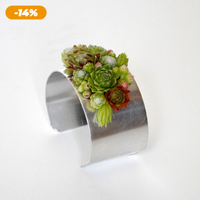 Karperec kövirózsákkal