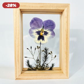 Valentin napra Préselt Árvácska natúr fa keretben 10.6 x 15 x 4.1 cm