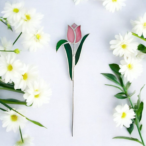 Nőnapi tulipán szál - Üveg örökvirág - Rózsaszín