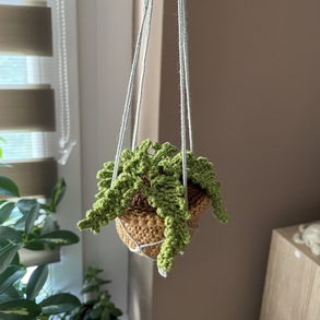 Horgolt lógós páfrány növény dísz