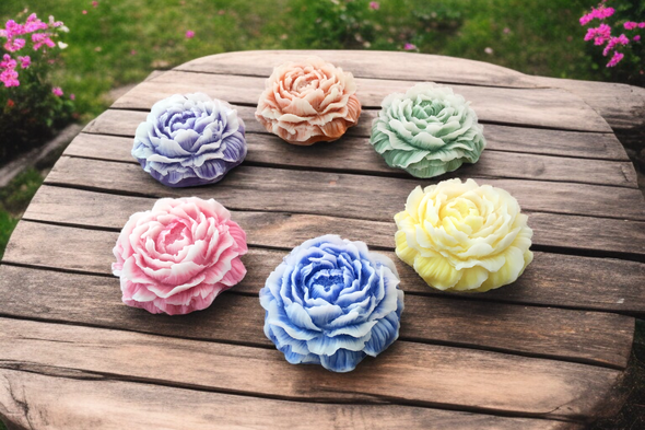 Babarózsa szappanvirág 