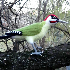 Nemezelt zöld küllő 