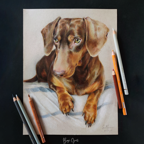 Egyedi Állatportré A/4 , színes cseruza portré, kutya, macska rajz portré