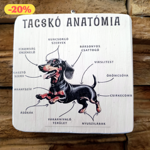 Tacskó anatómia vicces fatábla