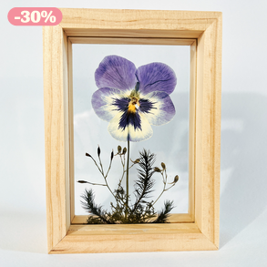 Valentin napra Préselt Árvácska natúr fa keretben 10.6 x 15 x 4.1 cm