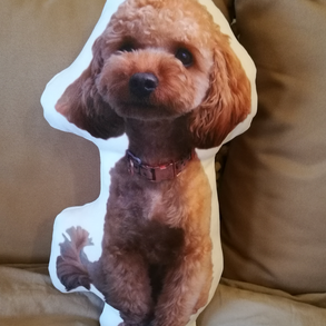 KEDVENC ÁLLATOS formapárna díszpárna saját állatos fényképpel, kedvencünk egyedi fotójával több méretben, ajándék párna